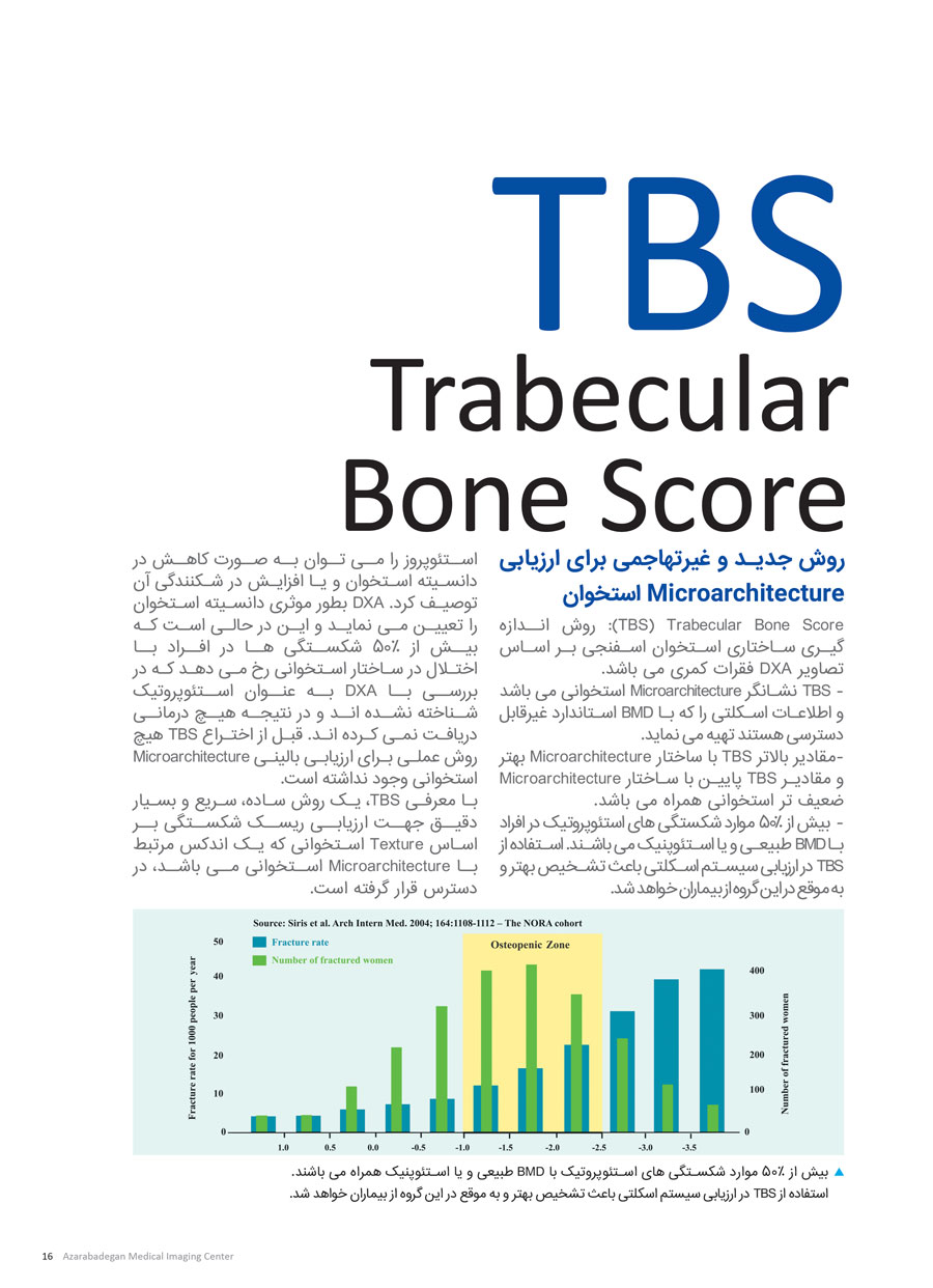Trabecular Bone Score